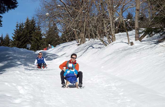 Descente en luge restaurant du Danay La descente en luge au départ du restaurant, presque 3 kilomètres c'est le top