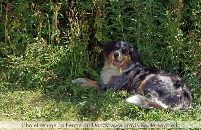 Pause casse croûte randonnée tête du Danay Lors de votre balade ou randonnée sur la tête du Danay soyez les bienvenus à la Ferme du Danay pour une pause sympatique et agréable
