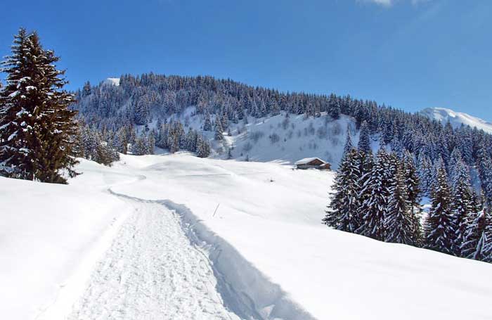 Chalet refuge La Ferme du Danay Chalet Refuge "La Ferme du Danay" situé à 1560 m d'altitude à Saint Jean de Sixt Haute Savoie